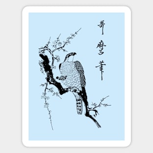 Japanese hawk on a branch Magnet